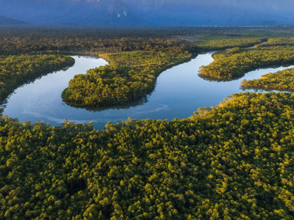 La Mata Atlântica Brasiliana