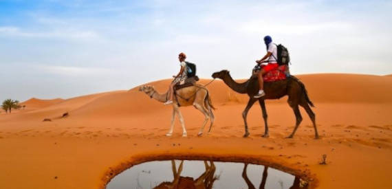 Tour i colori del Marocco